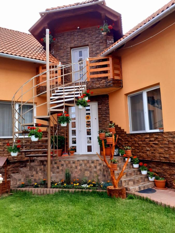 Casa de Oaspeti Cristian Praid Habitación foto