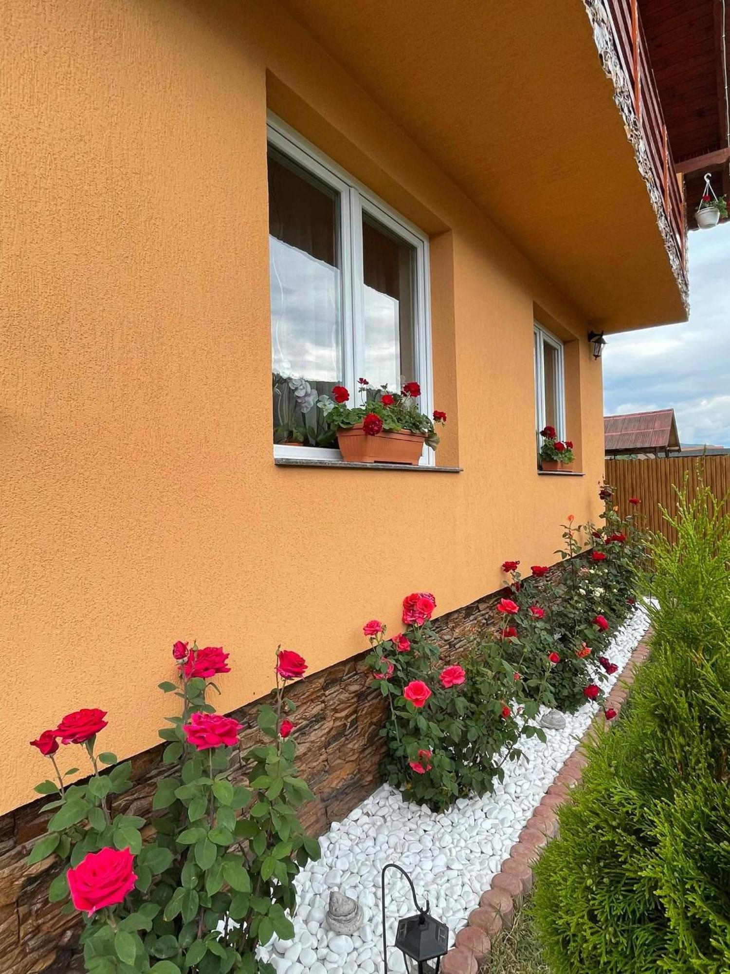 Casa de Oaspeti Cristian Praid Habitación foto